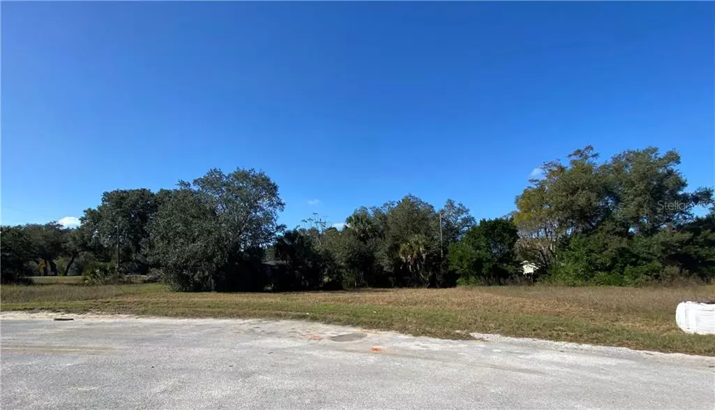 Lake Wales, FL 33898,SALLY ST #Lot 6