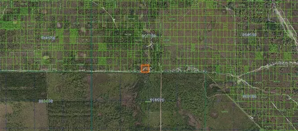 Frostproof, FL 33843,0 INACCESSIBLE RIVER RANCH TRACT