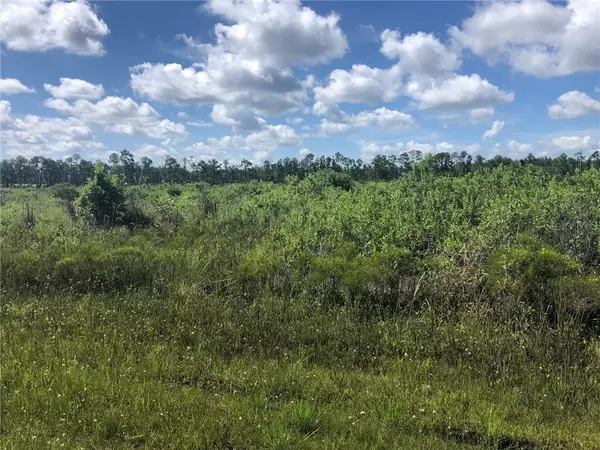 317 CALENDULA DR, Indian Lake Estates, FL 33855