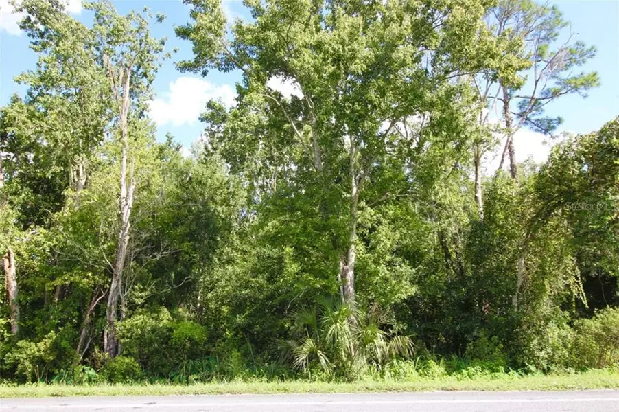 LOT 10 HWY 17 92  N, Davenport, FL 33837