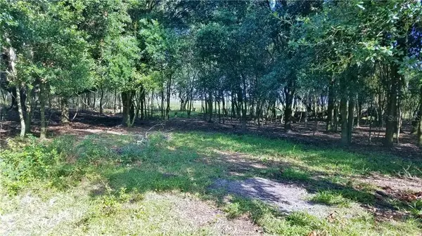 Winter Haven, FL 33884,LITCHFIELD LOOP