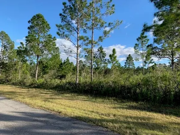 Indian Lake Estates, FL 33855,0 PALM AVE