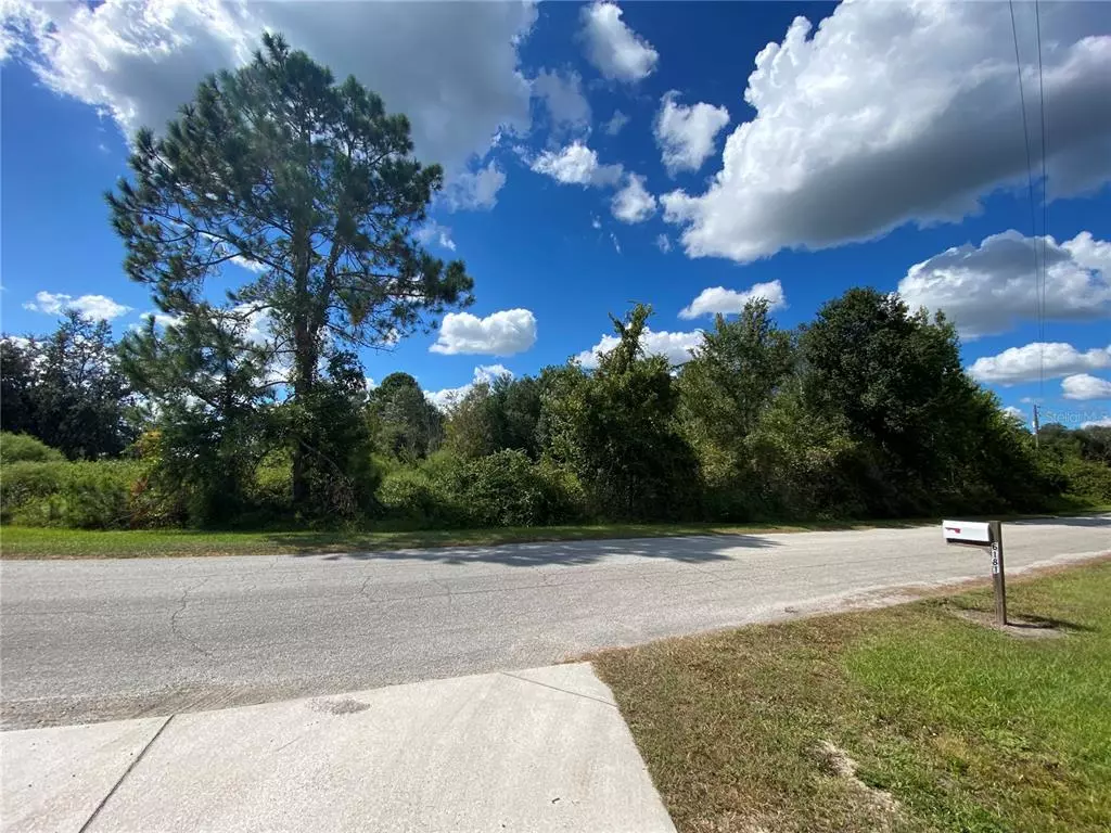 Polk City, FL 33868,0 BUCK HILL DR