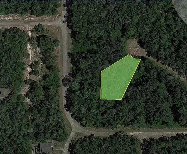 Citrus Springs, FL 34434,9982 GALLAHAD PT