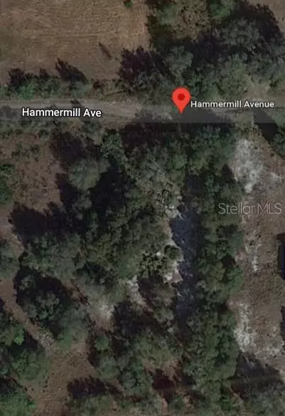 Lake Wales, FL 33859,0 HAMMERMILL AVE #80