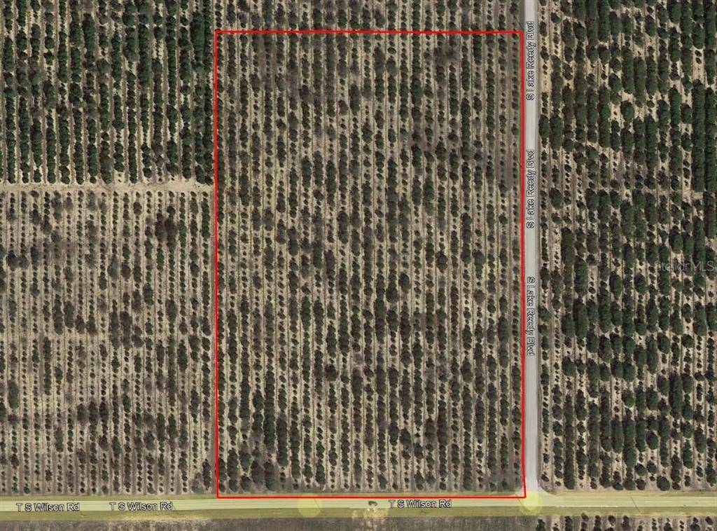 Frostproof, FL 33843,T S WILSON RD