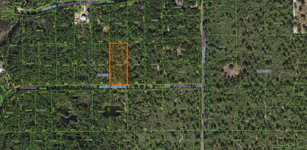 Lake Wales, FL 33898,LOT 29 S SHORE DR