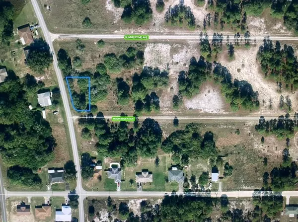 232 MOON RIVER AVE, Lake Placid, FL 33852