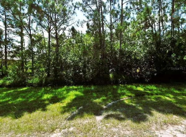 2553 SW SAVAGE BLVD, Port Saint Lucie, FL 34953