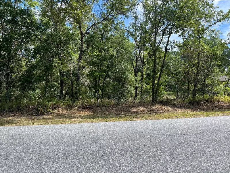 O ELM LOOP, Ocala, FL 34472