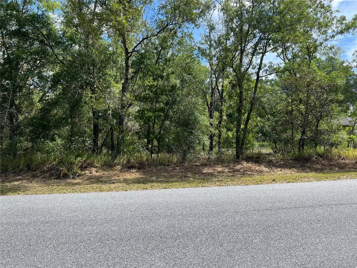 Ocala, FL 34472,O ELM LOOP