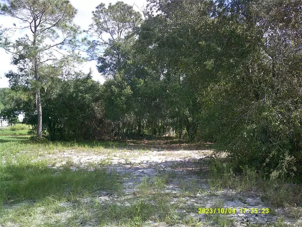 Lake Wales, FL 33898,CEDAR CIR