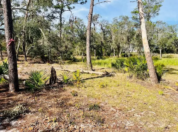 Frostproof, FL 33843,DEER RD