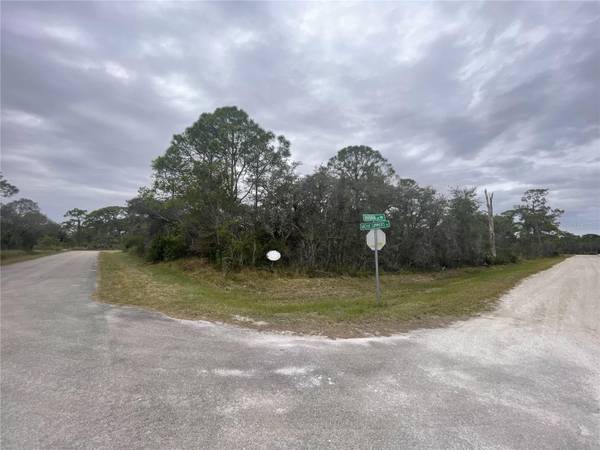133 BARBARA AVE NW, Lake Placid, FL 33852