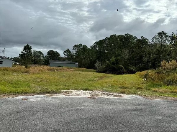 Poinciana, FL 34759,9 MUDFISH PL