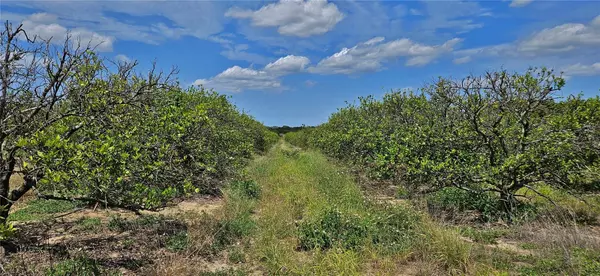 Lake Wales, FL 33898,WISTERIA LN