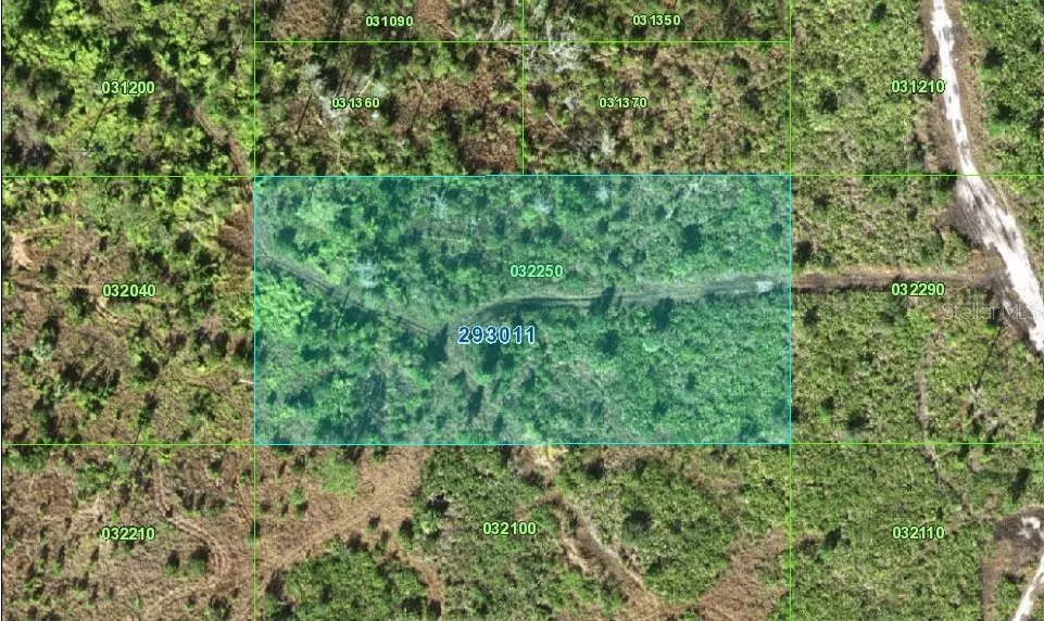 Lake Wales, FL 33898,PARCEL ID: 29-30-11-000000-032250