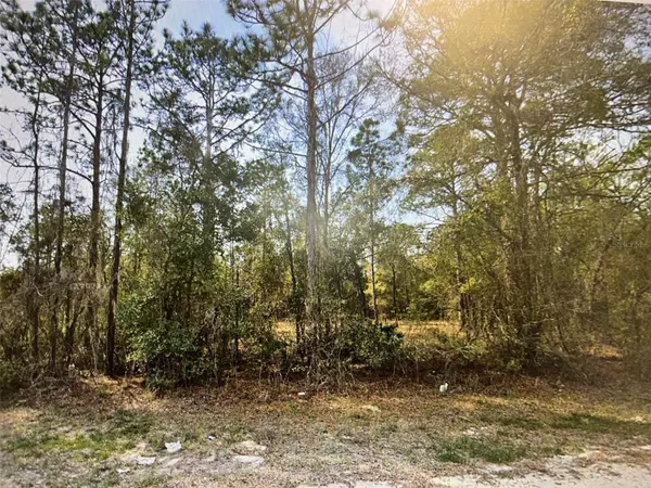 Ocala, FL 34481,0 SW 160 CT