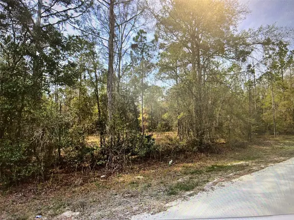 Ocala, FL 34481,0 SW 160 CT