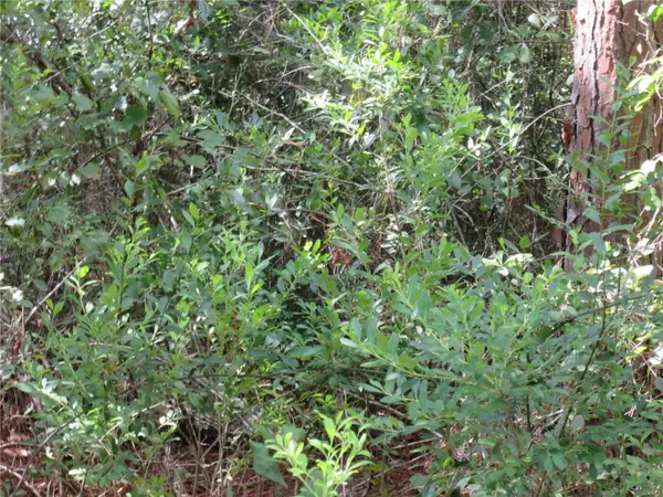 Lake Wales, FL 33898,SOUTH SHORE DR #Lot 28
