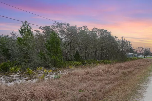 Avon Park, FL 33825,2764 W AVALON RD