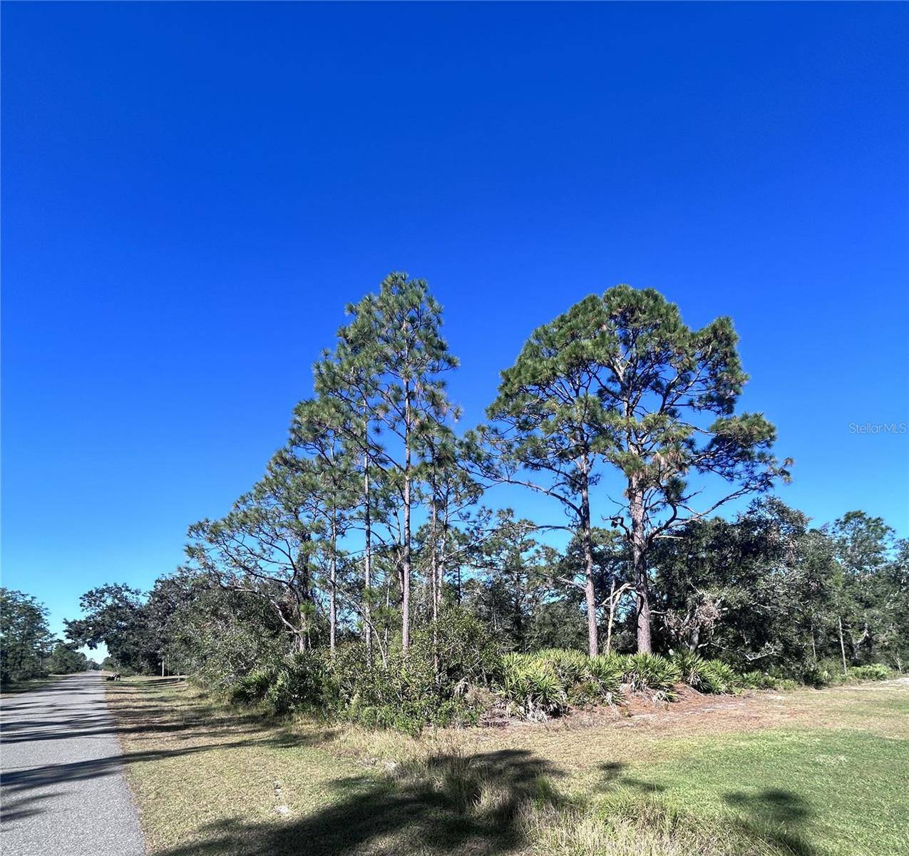 Lake Wales, FL 33855,616 POINCIANA DR