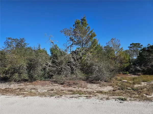 Lake Placid, FL 33852,560 MORNINGSIDE DR