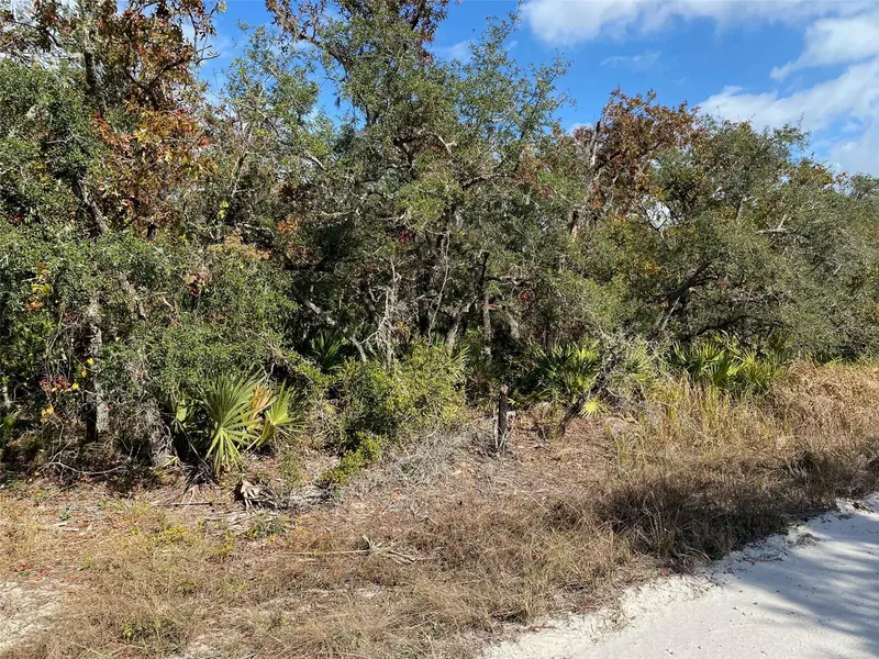 579 TURKEY OAK TRL, Frostproof, FL 33843