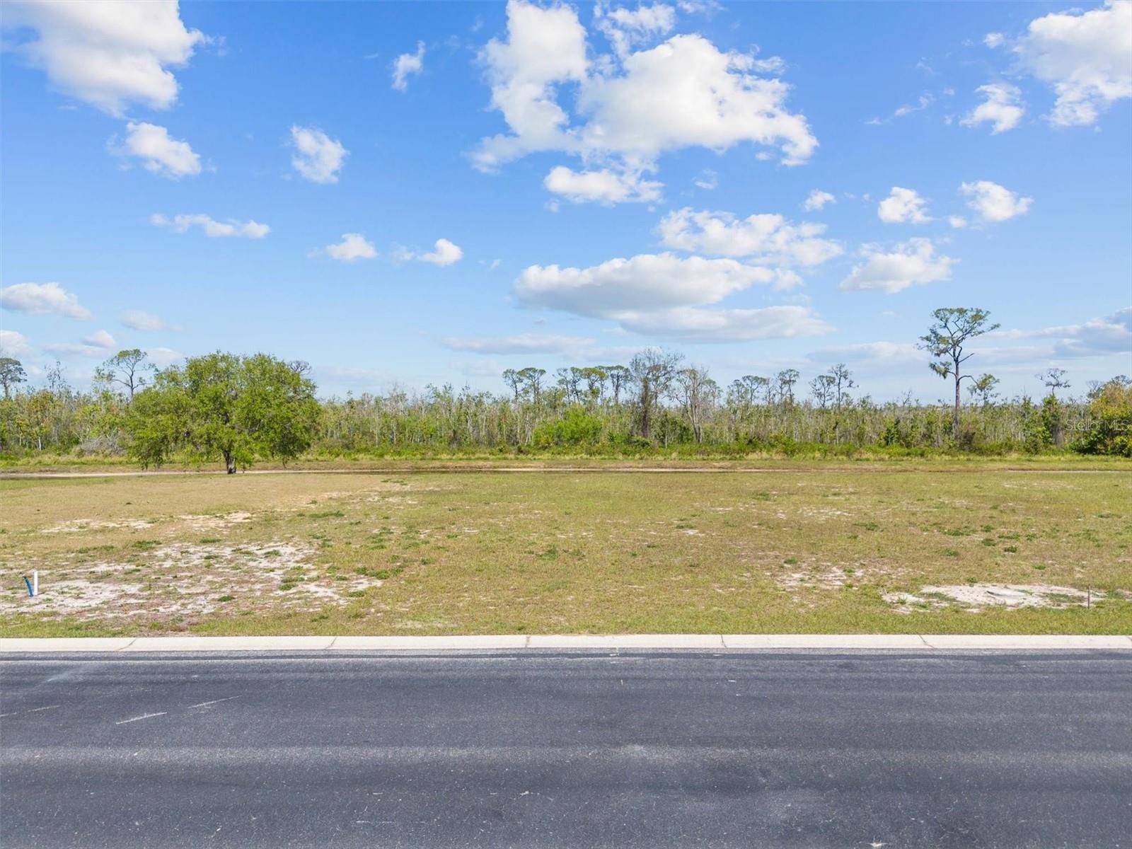 Auburndale, FL 33823,345 ADAMS VIEW LN