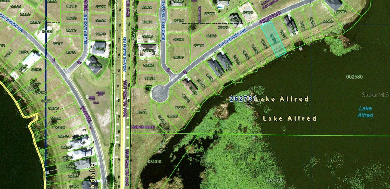 Lake Alfred, FL 33850,160 CALADIUM AVE