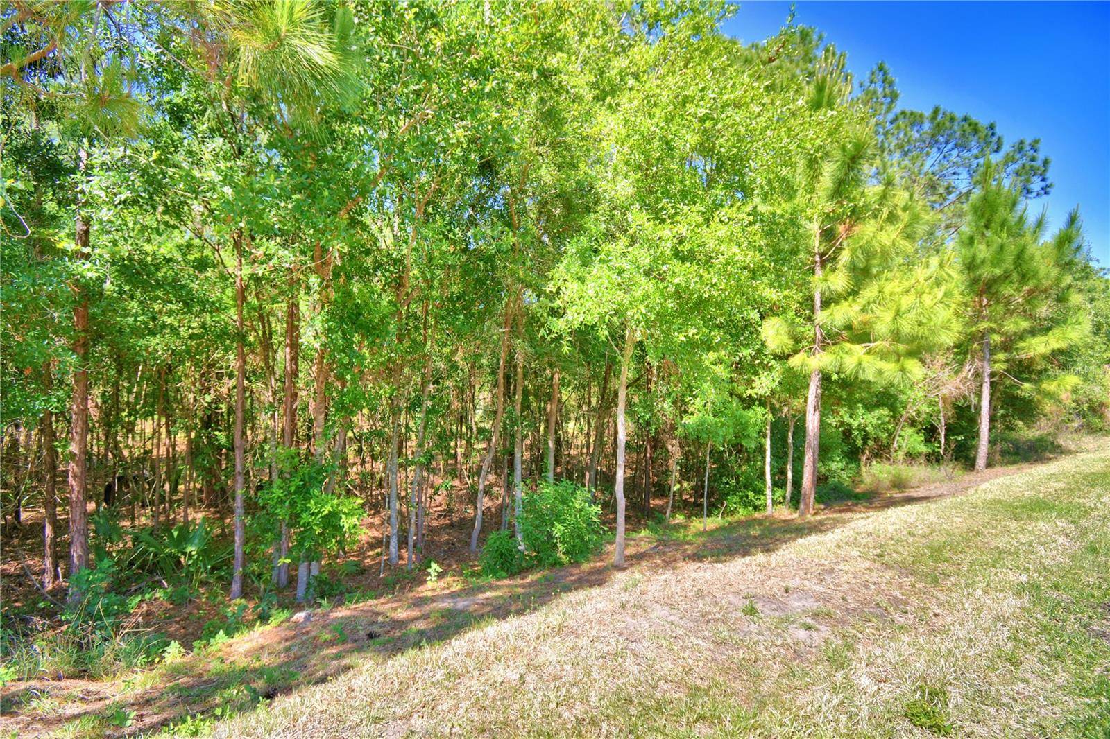 Winter Haven, FL 33884,1573 VIENNA SQUARE DR