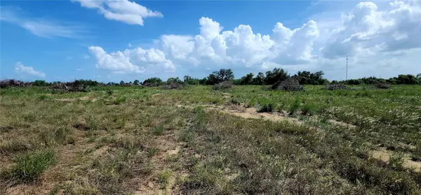 Avon Park, FL 33825,790 LAKE LOTELA DR