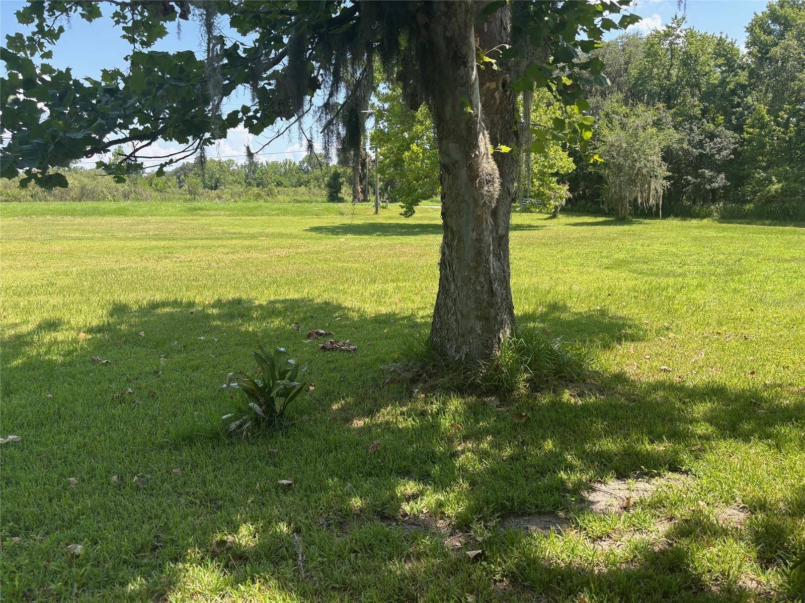 East Palatka, FL 32131,149 E MCCORMICK RD