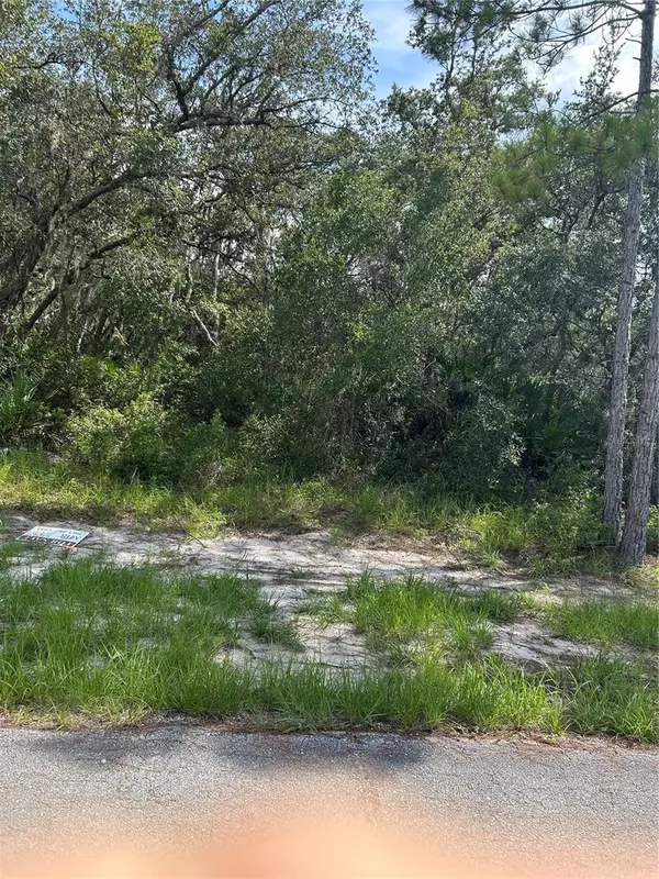 1537 MARLIN DR, Kissimmee, FL 34759
