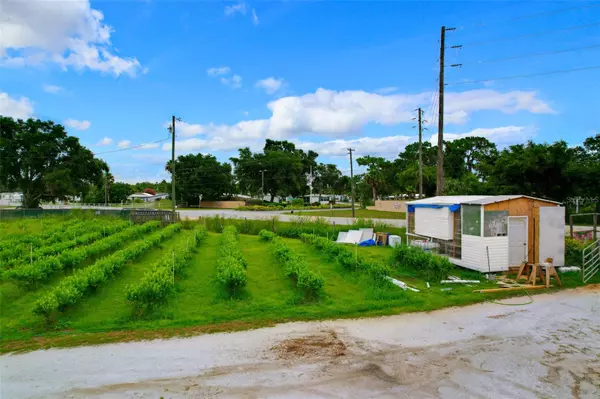 Lake Wales, FL 33898,3510 WALK IN WATER RD