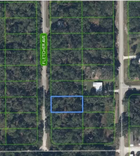 431 FLETCHER AVE, Lake Placid, FL 33852