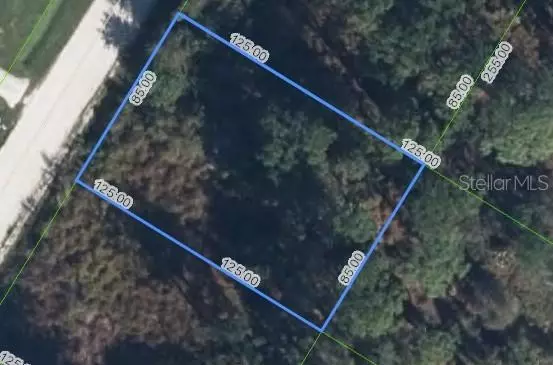 Lake Placid, FL 33852,112 DRAYCOTT AVE