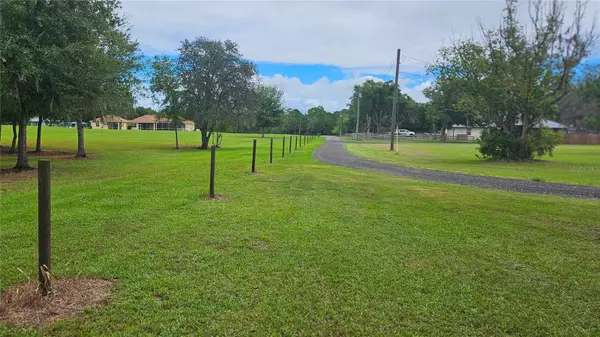 Polk City, FL 33868,HOLY COW RD