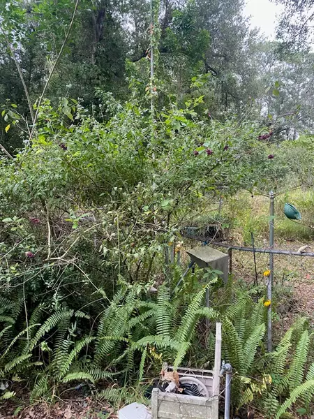 1051 MACON RD, Winter Haven, FL 33884