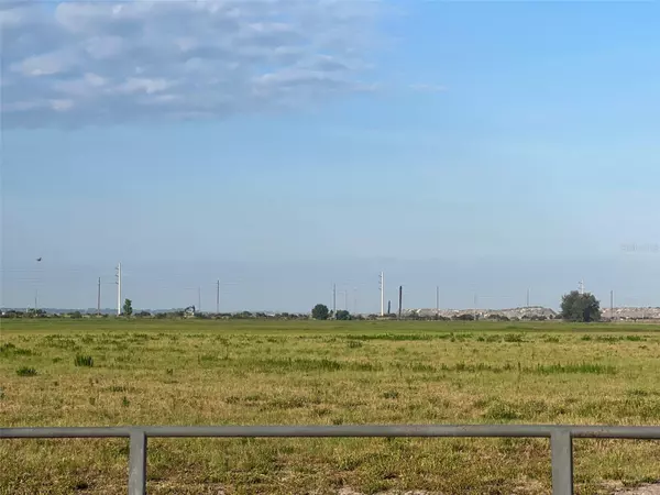 Myakka City, FL 34251,1455 S DUETTE RD