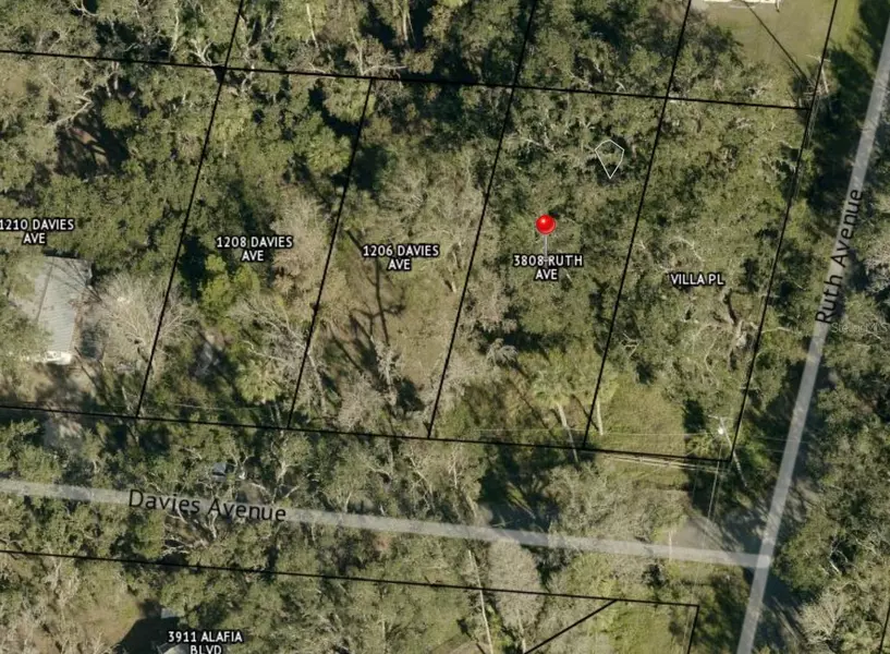1204 DAVIES RD, Brandon, FL 33511