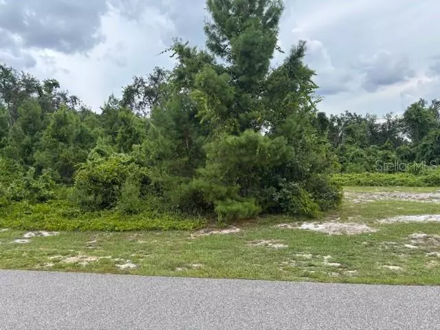 Haines City, FL 33844,9049 S BAY DR