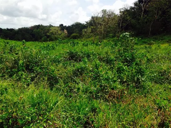 833 CARR. KM 6.0, STA ROSA IIL #LOT 3, Guaynabo, PR 00971