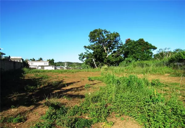 664 N SABANA AGUILA, Barceloneta, PR 00617