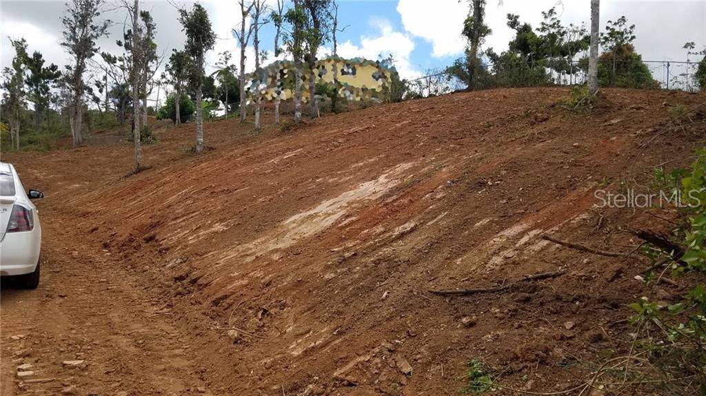 Km 5.1 CARR 715, Cayey, PR 00736