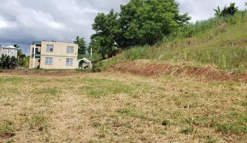 PR 411 km 2.0 BO. GUAYABO, Aguada, PR 00602