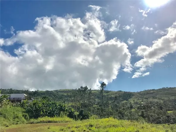 Km 9.8 ROAD 956, Rio Grande, PR 00745