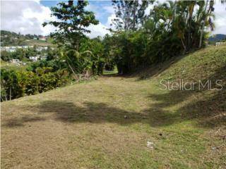 Sr 171, KM 6.4 (int) Evar SR 171, KM 6.4 (INT) EVARISTO HERNANDEZ RD #42-8 Mogote Sector, Cayey, PR 00736