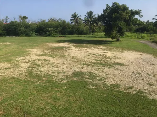 CALLE ABETO, Hatillo, PR 00659