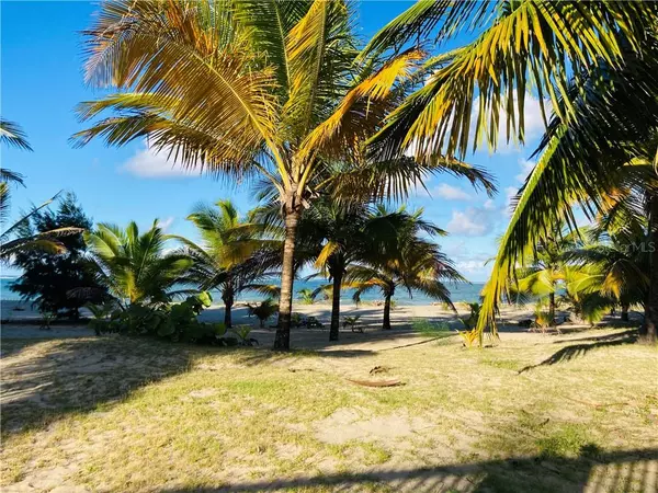 Condo. OCEAN POINT #4602, Loiza, PR 00772